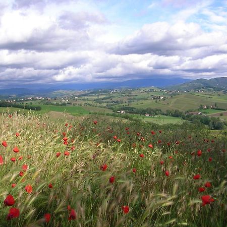 Villa Dei Romaniani Villaromagnano Ngoại thất bức ảnh