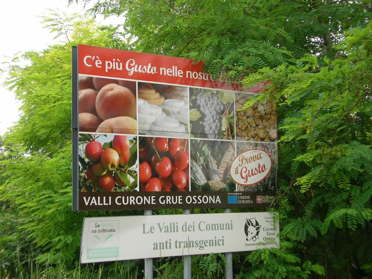 Villa Dei Romaniani Villaromagnano Ngoại thất bức ảnh