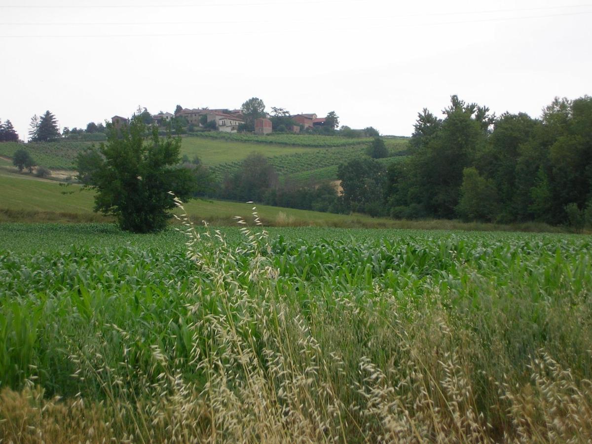 Villa Dei Romaniani Villaromagnano Ngoại thất bức ảnh